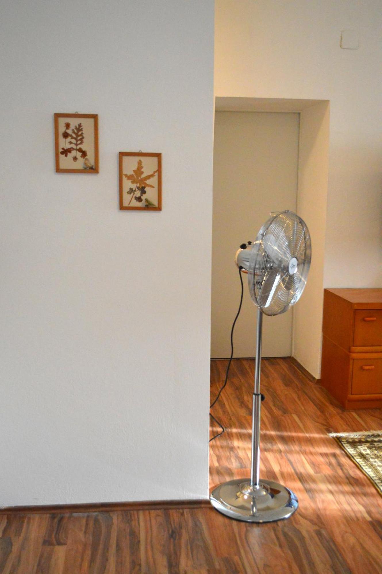 Gemuetliche Ferienwohnung - Prein An Der Rax Екстер'єр фото